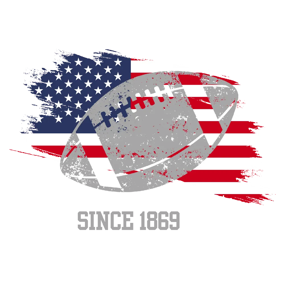 All American Flag Football Organic Cotton Hoodie