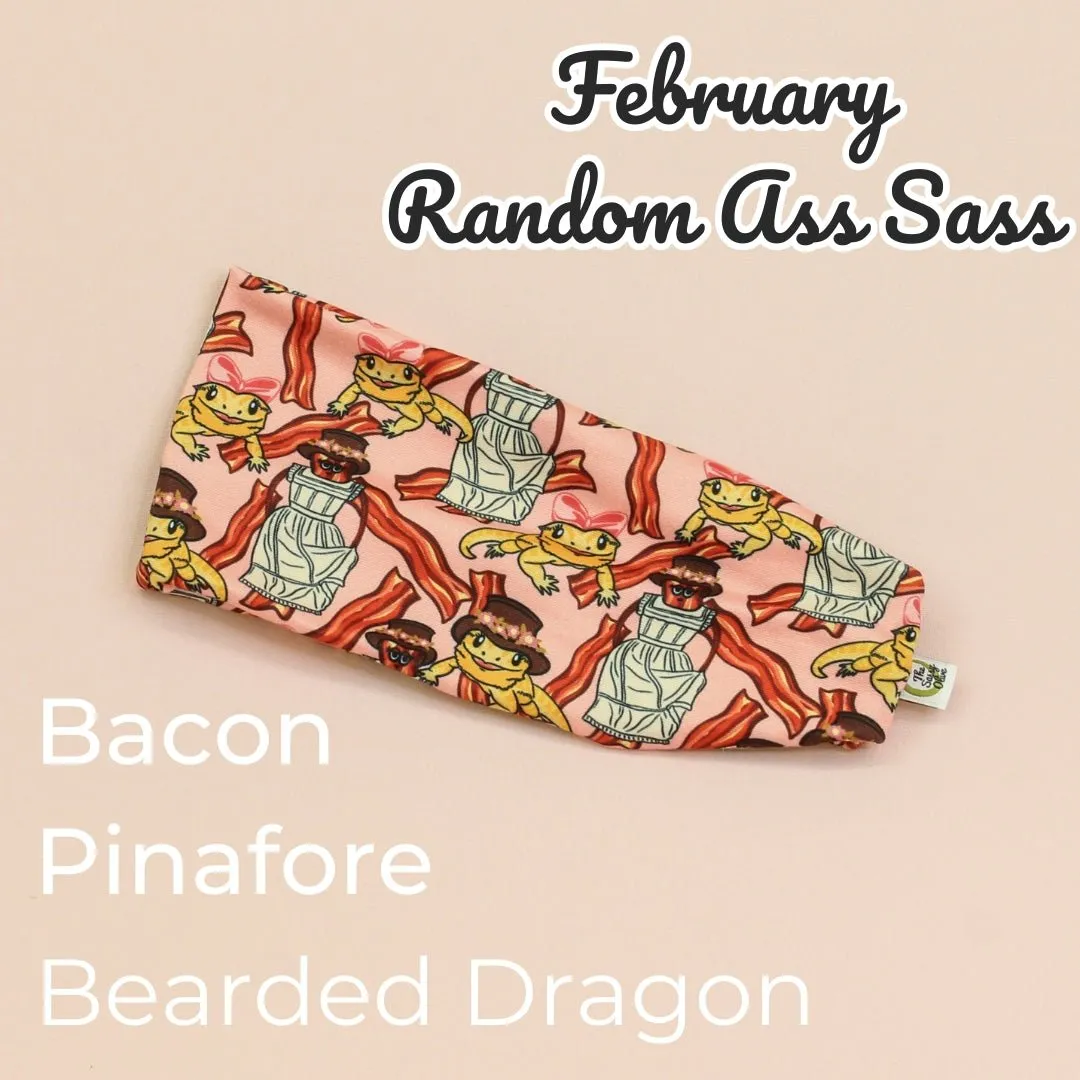 Bacon Pinafore Bearded Dragon Random Ass Stretch