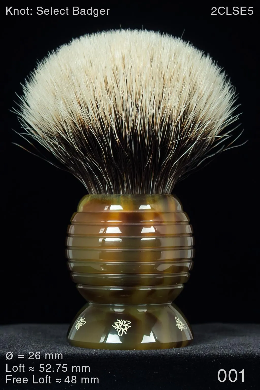 Beehive 26 mm Tortoise