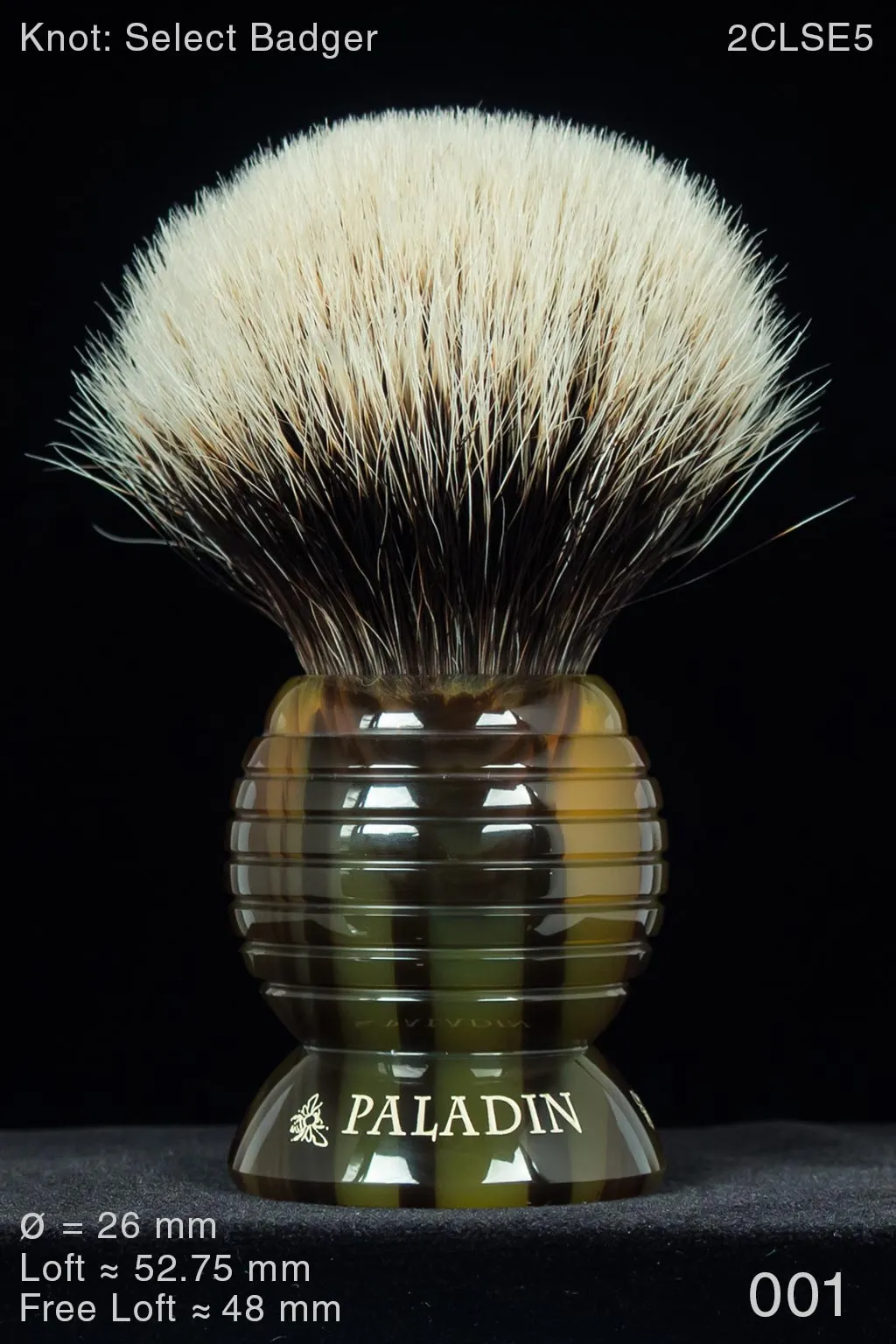 Beehive 26 mm Tortoise