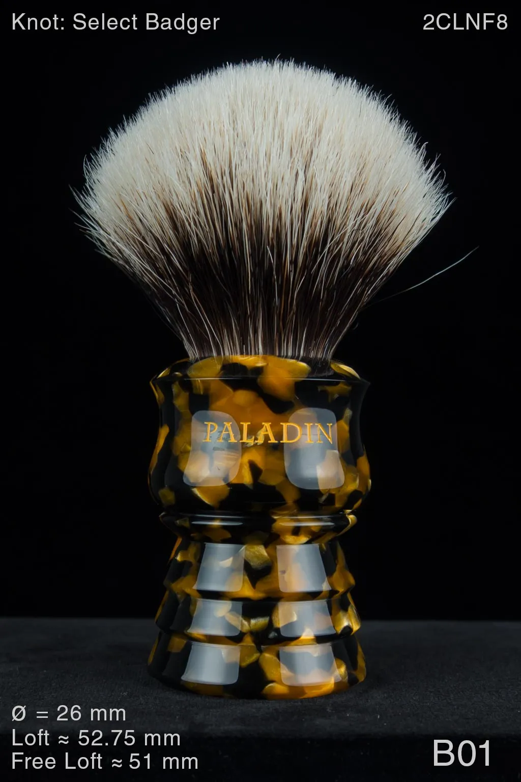 Buckaroo 26 mm Honey Noire