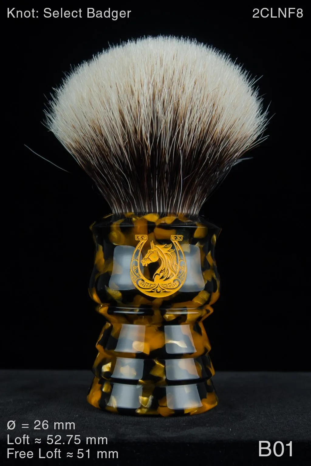 Buckaroo 26 mm Honey Noire