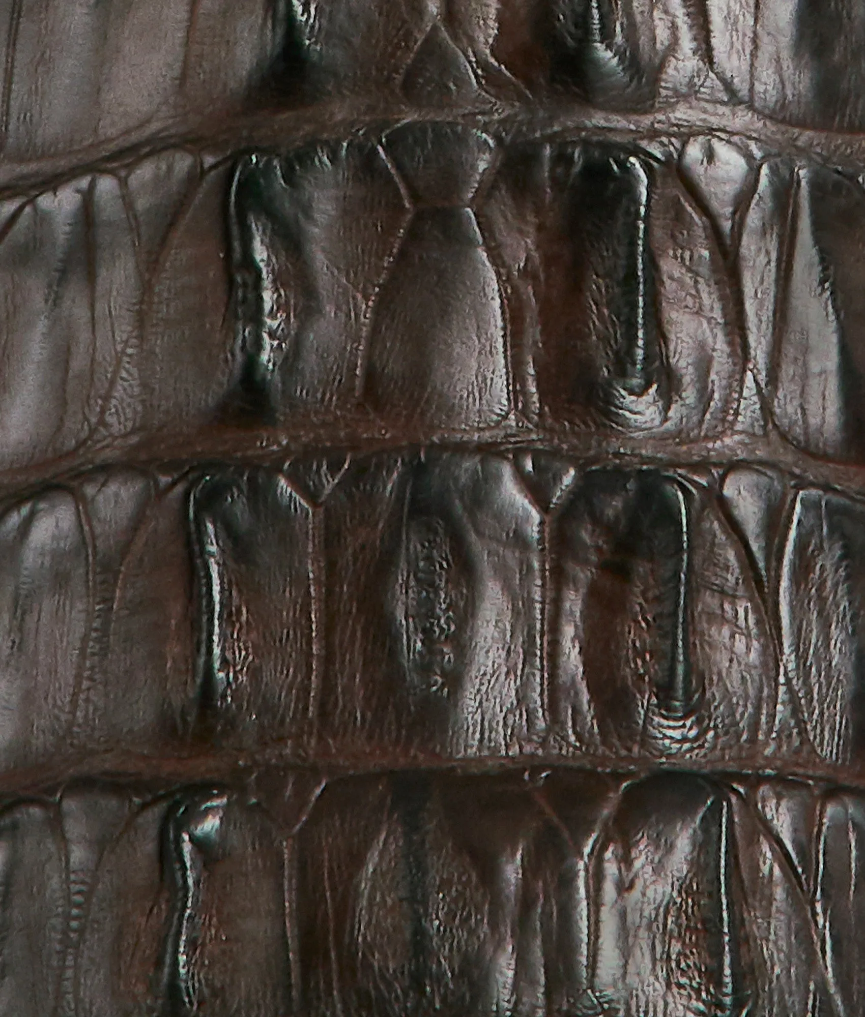Buster :: Chocolate