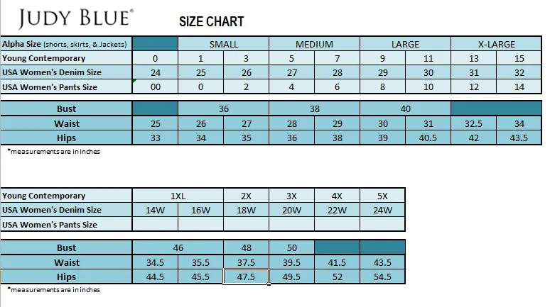 HW VINTAGE WASH BOYFRIEND BY JUDY BLUE - CURVY