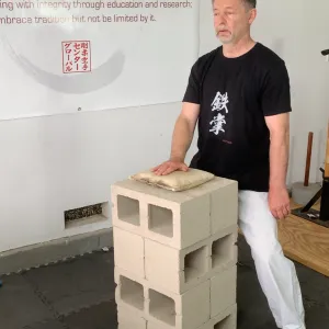 Iron Palm Workshop - Recommended