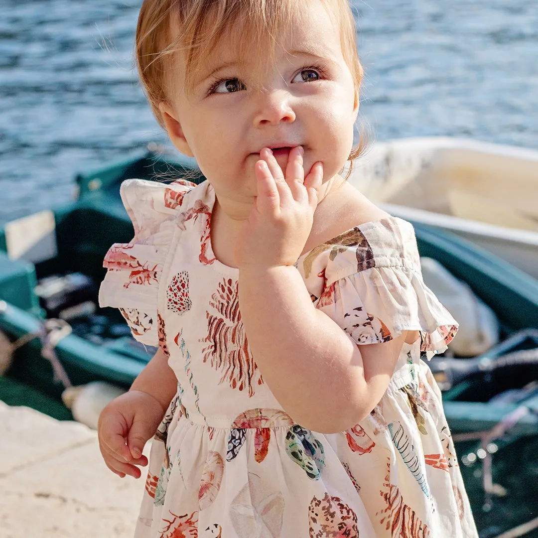 Pink Chicken Baby Girls Liv Dress Set - Watercolor Shells