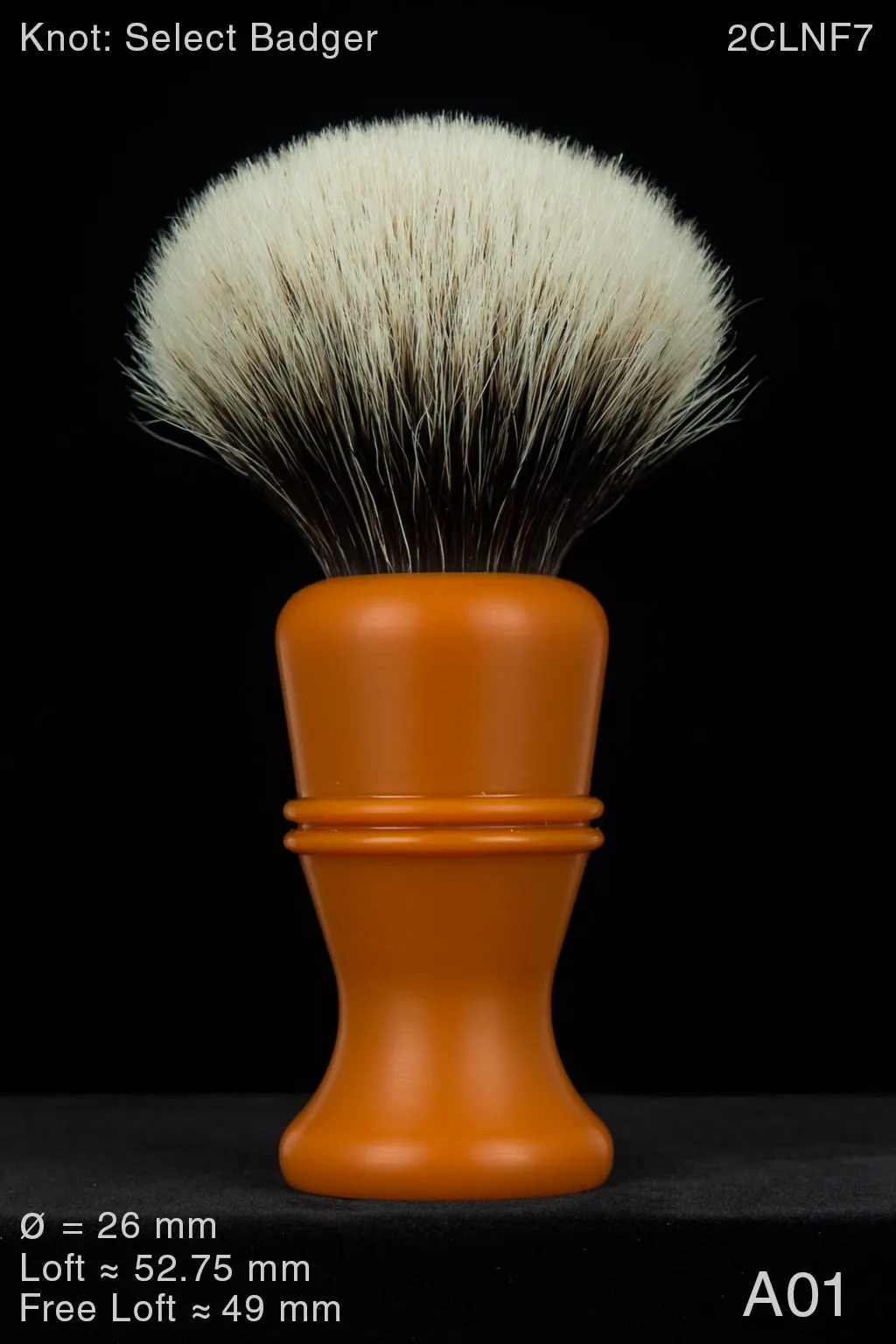 Polo 26 mm Satin Butterscotch