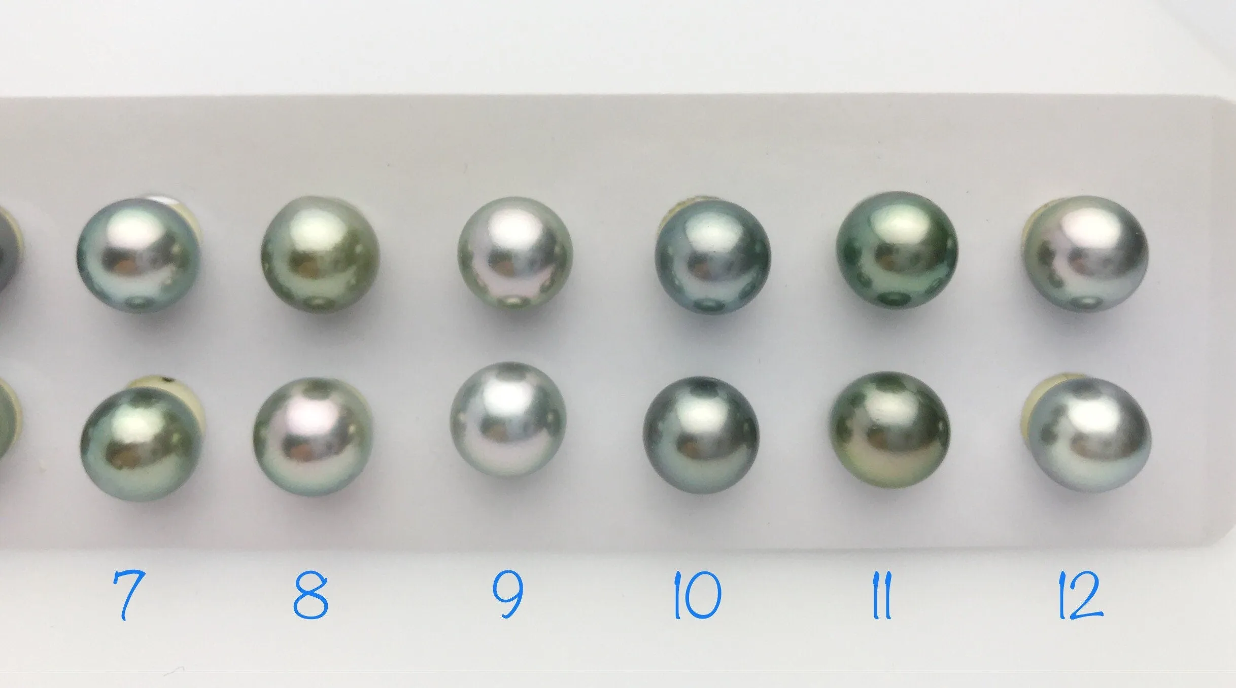 Tahitian AA Loose Matched Pairs Loose 9.5mm to 10mm (185)