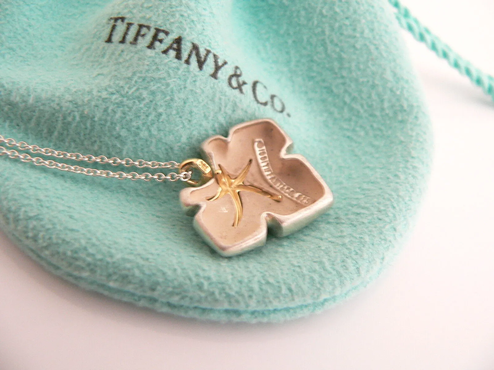 Tiffany & Co Silver 18K Gold Starfish Necklace Ivy Pendant Charm Love Gift Pouch