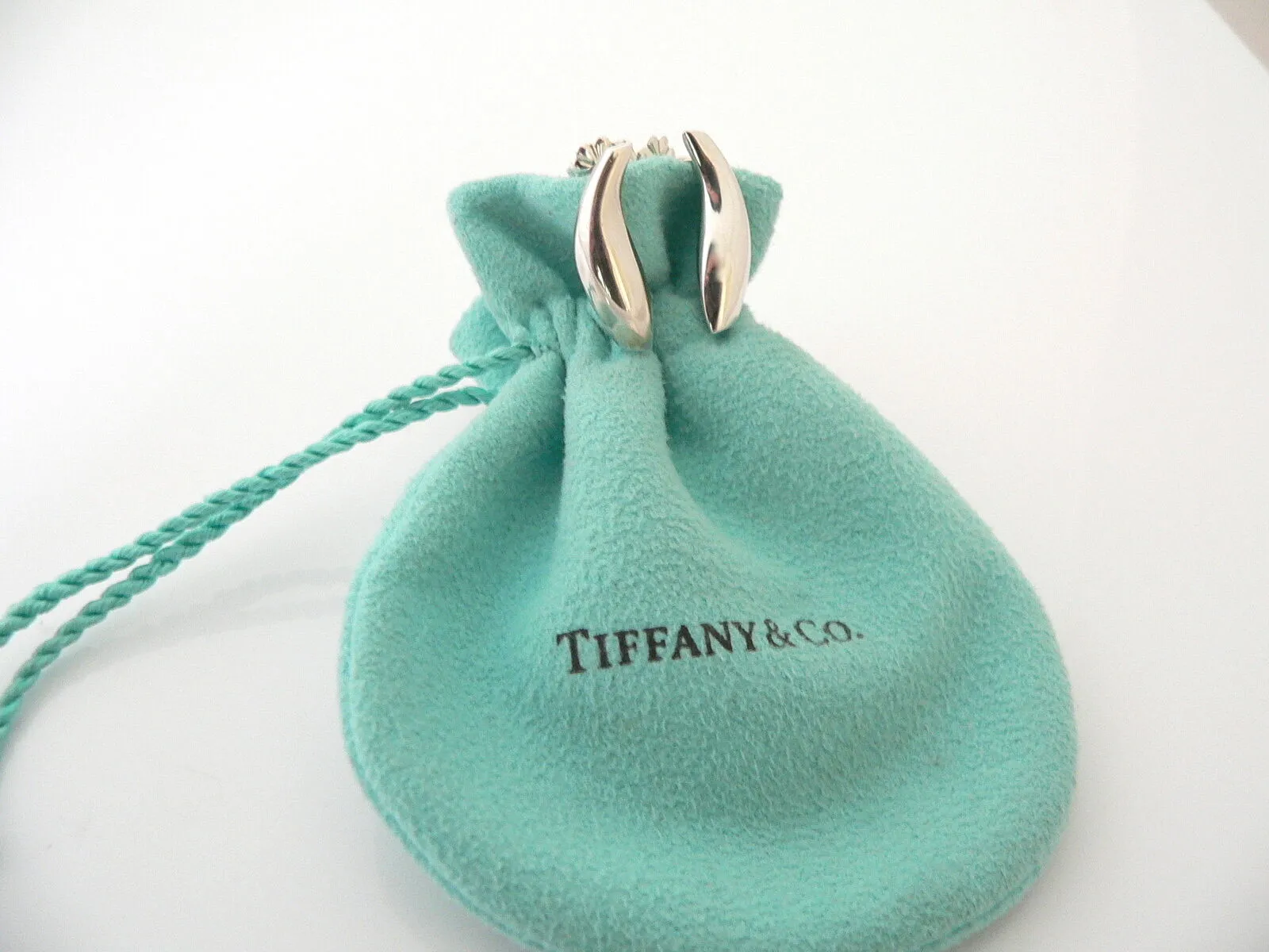 Tiffany & Co Silver Jewelry Gehry Nature Fish Earrings Studs Gift Pouch Love