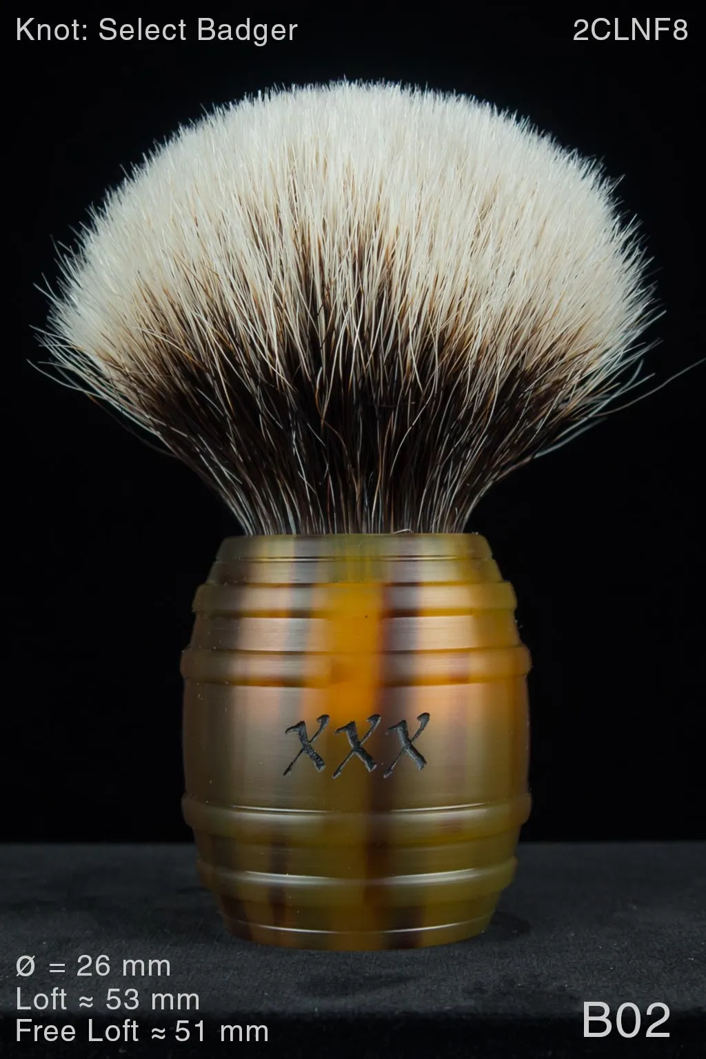 XXX 26 mm Satin Tortoise